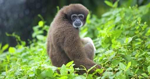 Brunei – Carnet de voyage Brunei – Carnet de voyage